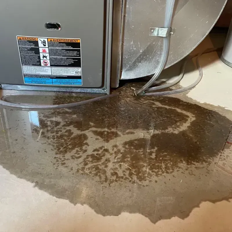 Appliance Leak Cleanup in Stayton, OR